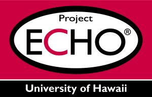 ECHO project logo